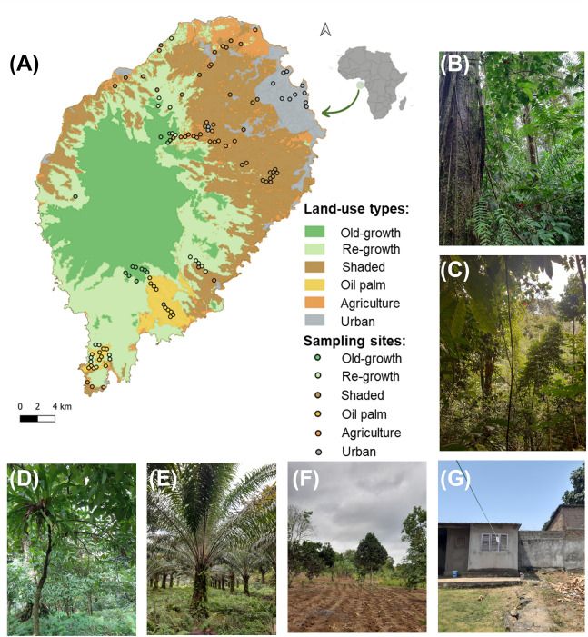 Land use categories for São Tomé island in West Africa