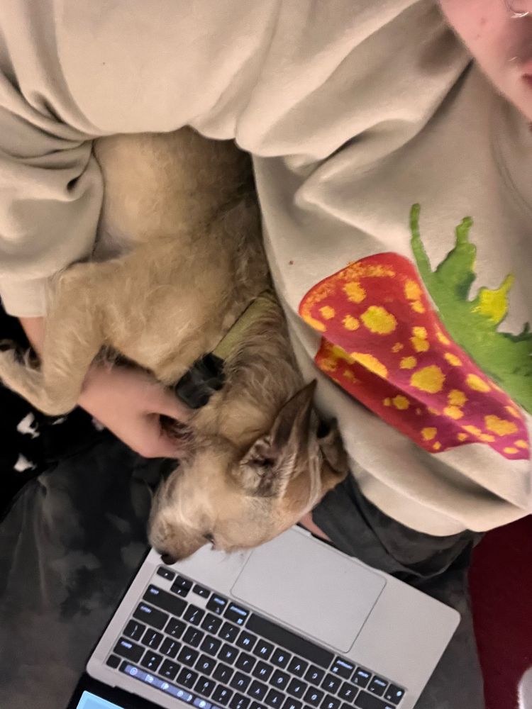 millie cradled beside me