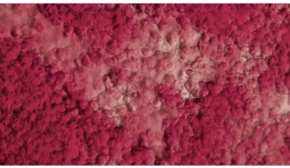LACMA Presents Zheng Chongbin: Golden State - Preview