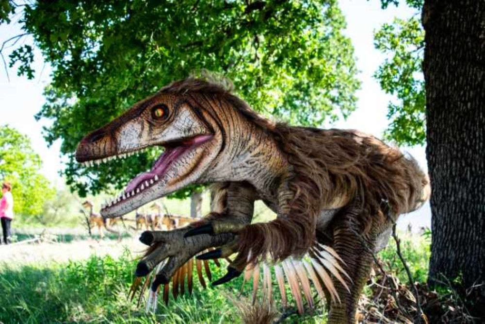 California Academy of Sciences Presents DINO DAYS — Preview