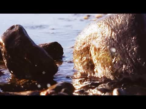Fragility (excerpt)