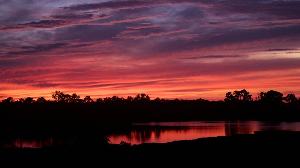 A cloudy sunset over a Florida lake surrounded by trees. The sky is a deep orange that transitions to purple.