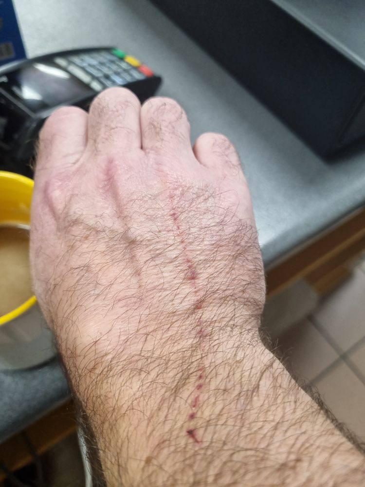 My cat marked me...