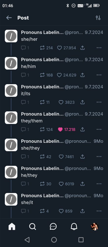 A Printscreen of the label list of @pronouns.diy

It shows different pronouns like he/him or she/her or they/them. Including how many people liked a pronoun.
More detailed list in the actual post.