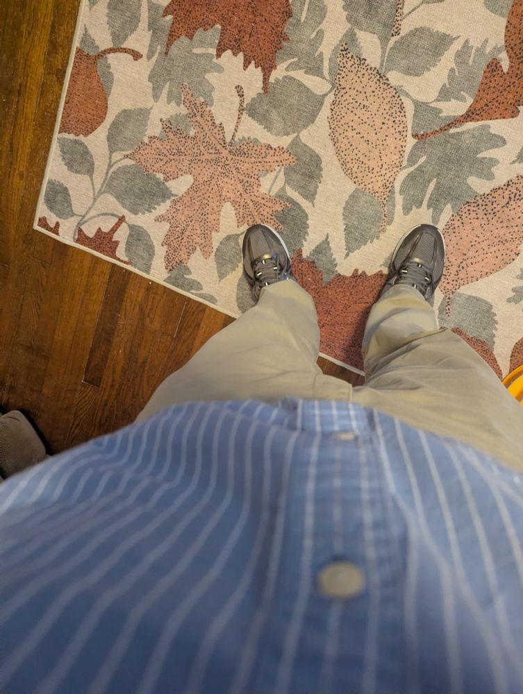 Downward facing image of a blue button up shirt with white pinstripes and khaki pants with tennis shoes.