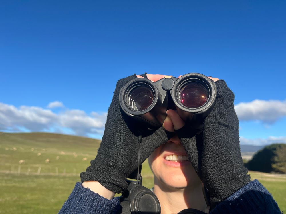 A person looking to the sky through binoculars, diligently searching for eagles