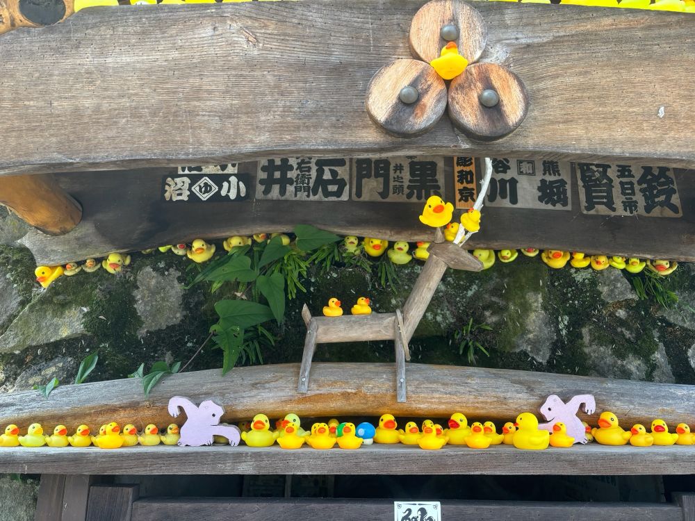 アヒルのおもちゃがたくさんいる写真