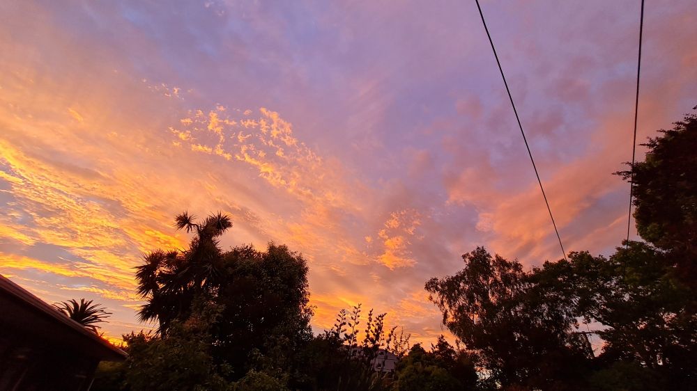 Looking up to a red sunset sky with trees and power line around the edges of my photo