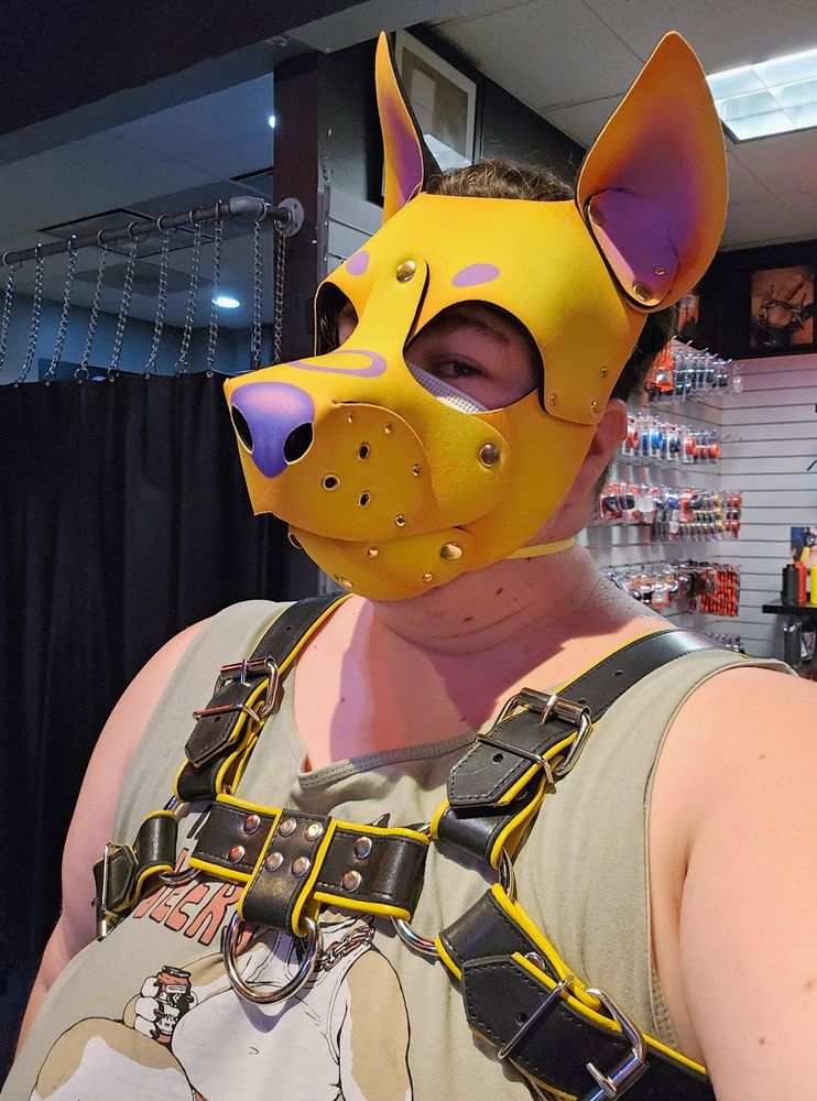 Man in an Intersex flag pup hood with a yellow and black harness on