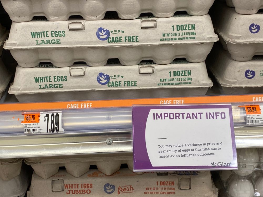 Supermarket eggs with extremely high price!