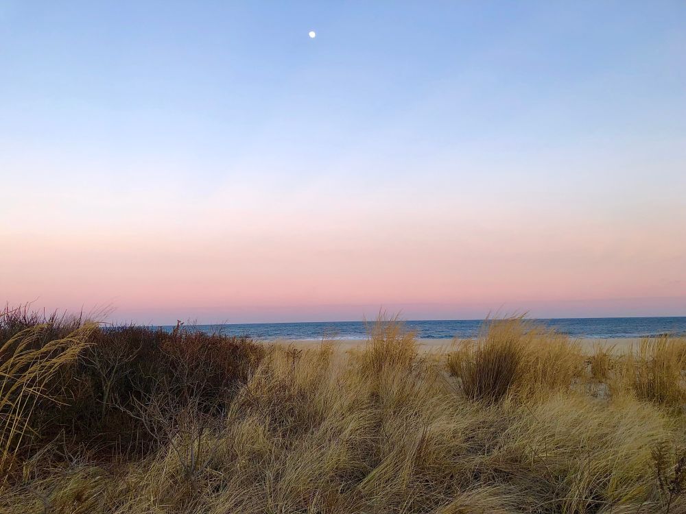 Sunset over the Atlantic Ocean. In the foreground are golden brown seagrass dunes, in the center, a band of deep blue calm ocean water. The sky are hues of soft blues and pearly pinks. 
And a tiny full moon. 