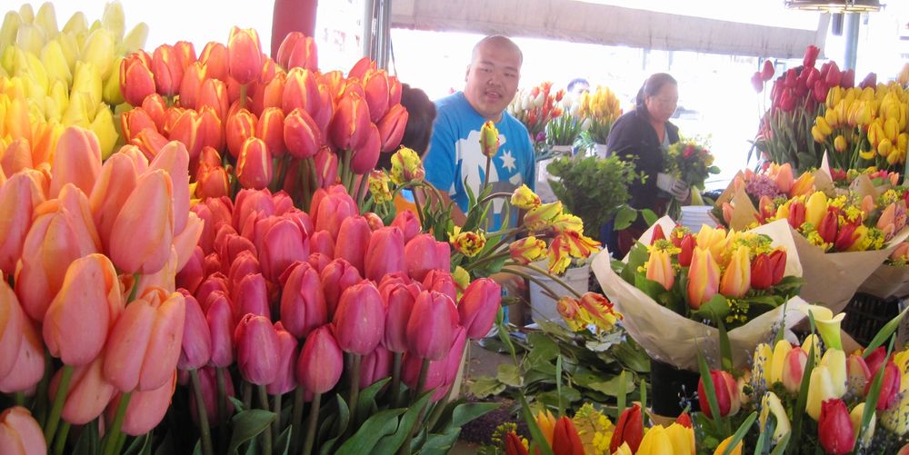 A flower farmer at the Pike Place Market in Seattle. Glorious bunches of tulips in shades of peach, coral, pale, yellow, salmon, orange, along with multi colored mixed flower bouquets. These growers are amazing!