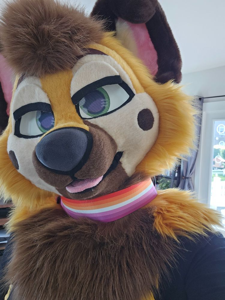 A picture of a cartoony fursuit head and a lesbian collar