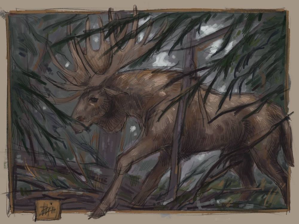Here a huge moose makes its way through the dark coniferous forest. He steps over windfalls and clings to the branches with his antlers. Dark wise eyes see right through your soul...

Study work for myself | ⋉•