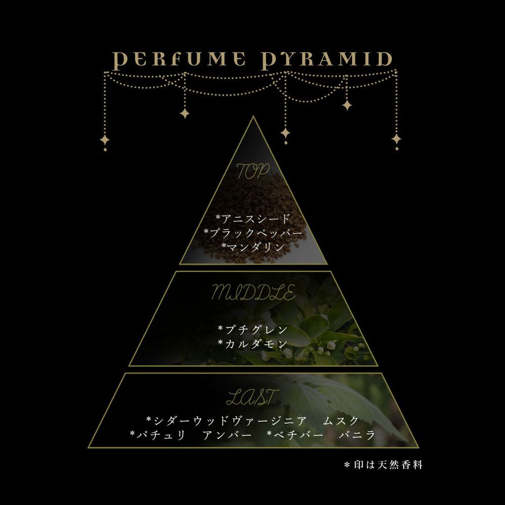 Perfume Pyramid Full Text (Machine Translated): Top notes - The stimulating and spicy aroma of black pepper and aniseed is complemented by the refreshing mandarin peel. The top notes are light and sparkling. Middle notes - The bluish green of petitgrain and the warm yet elegant spice of cardamom blend together to create a supple yet solid impression, leaving a natural, lingering aftertaste. Last Note - The dry, deep woodiness of cedarwood, virginia, vetiver, and patchouli is warmed by musk and amber, while the subtle sweetness of vanilla lingers, leaving a deep, calming, and lingering finish. 