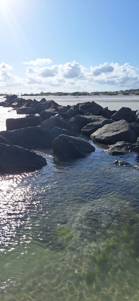 The rocky tidal pool