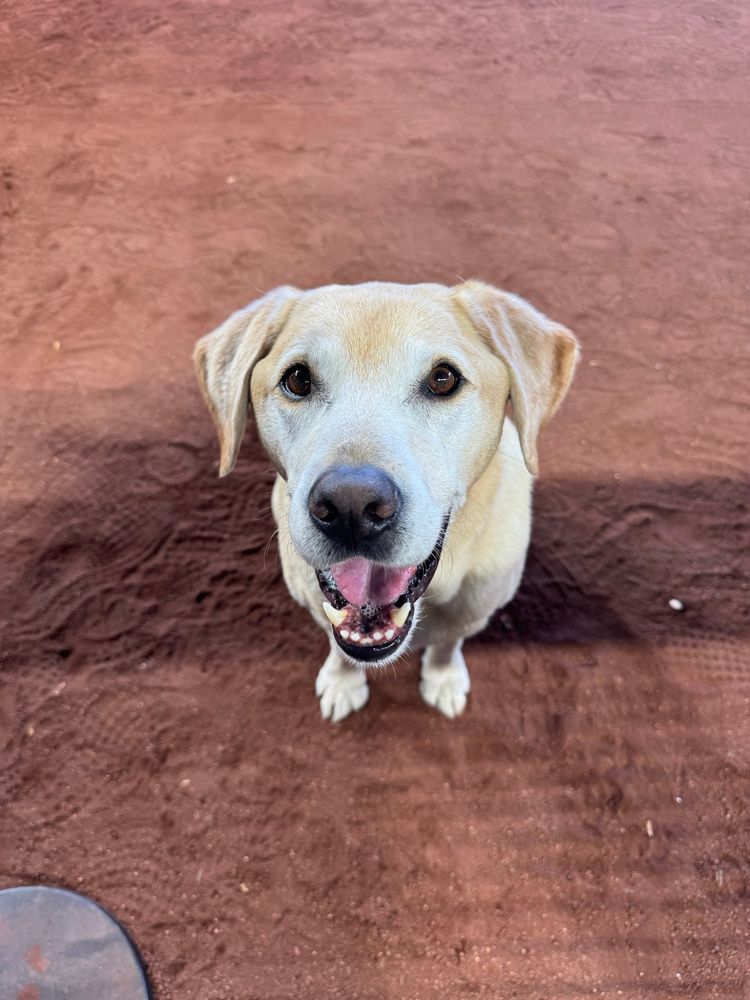 A good boy.