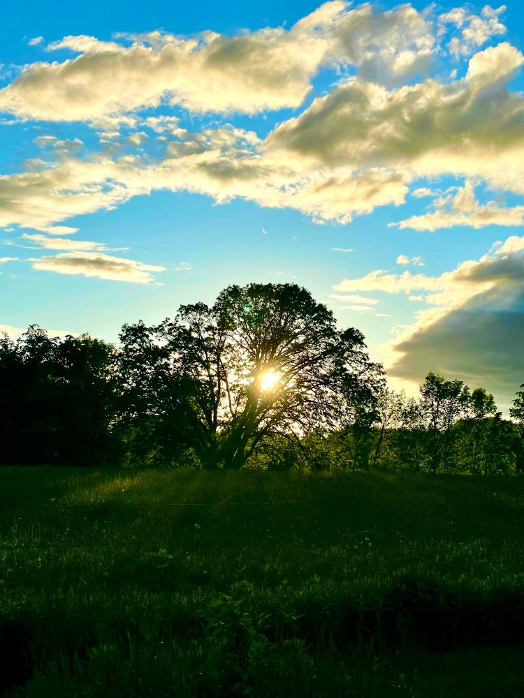 Beautiful sky at sunset with green fields and blue sky’s .