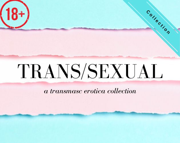 the trans flag is made out of ripped colored paper. the text reads 'TRANS/SEXUAL' 'a transmasc erotica collection'.