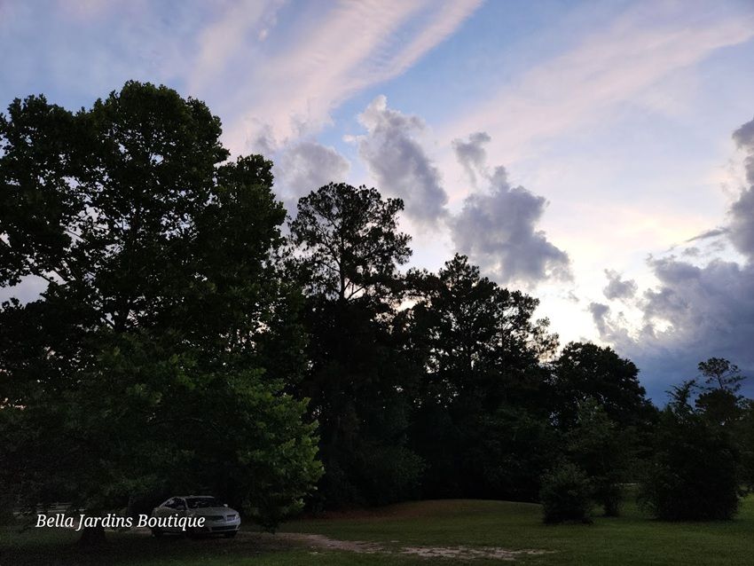 Blue sky with some white and some dark gray clouds. A grassy lawn leads up to a group of tall trees. 