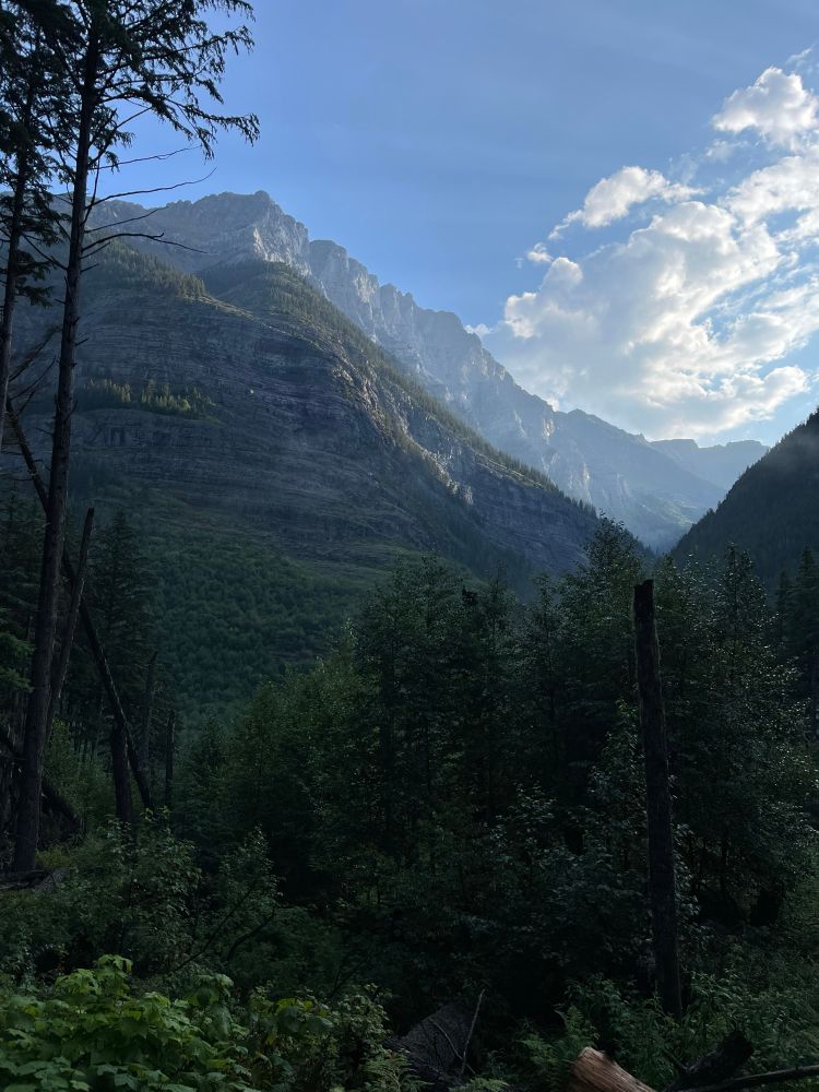 Massive mountains with trees in the foreground 