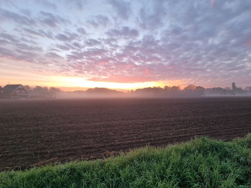 Sonnenaufgang bei leich bewölktem Himmel über einen frisch gepflügten Acker.