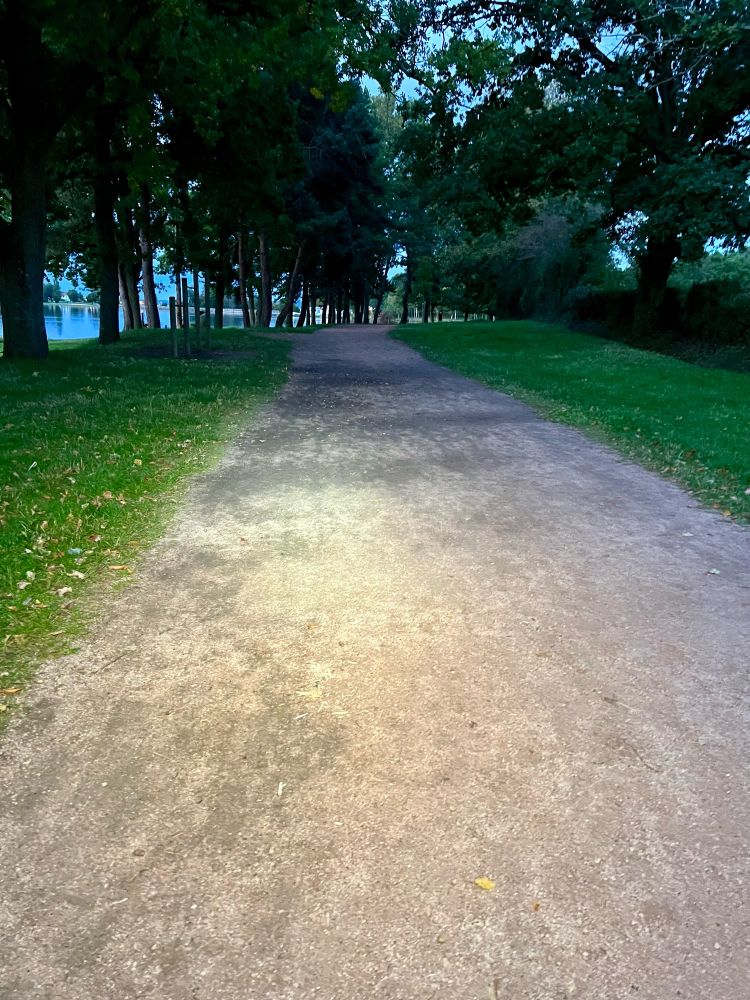 Un chemin de marche, en terre bien tassée recouverte d’un léger gravier, entre deux bandes d’herbe et quelques arbres, à la nuit tombante. Un faisceau de lumière projetée par la lampe frontale éclaire quelques devant.