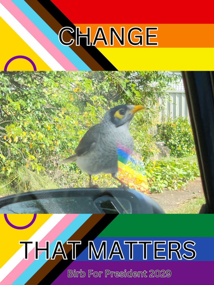 Meme style image of a noisy miner bird on a cars wing view mirror. The window reflects a pride flag from the dashboard. The bird looks majestic and dignified.
The image is bannered with the progress pride flag. A caption on the flag reads: "Change that matters. Birb For president 2029."