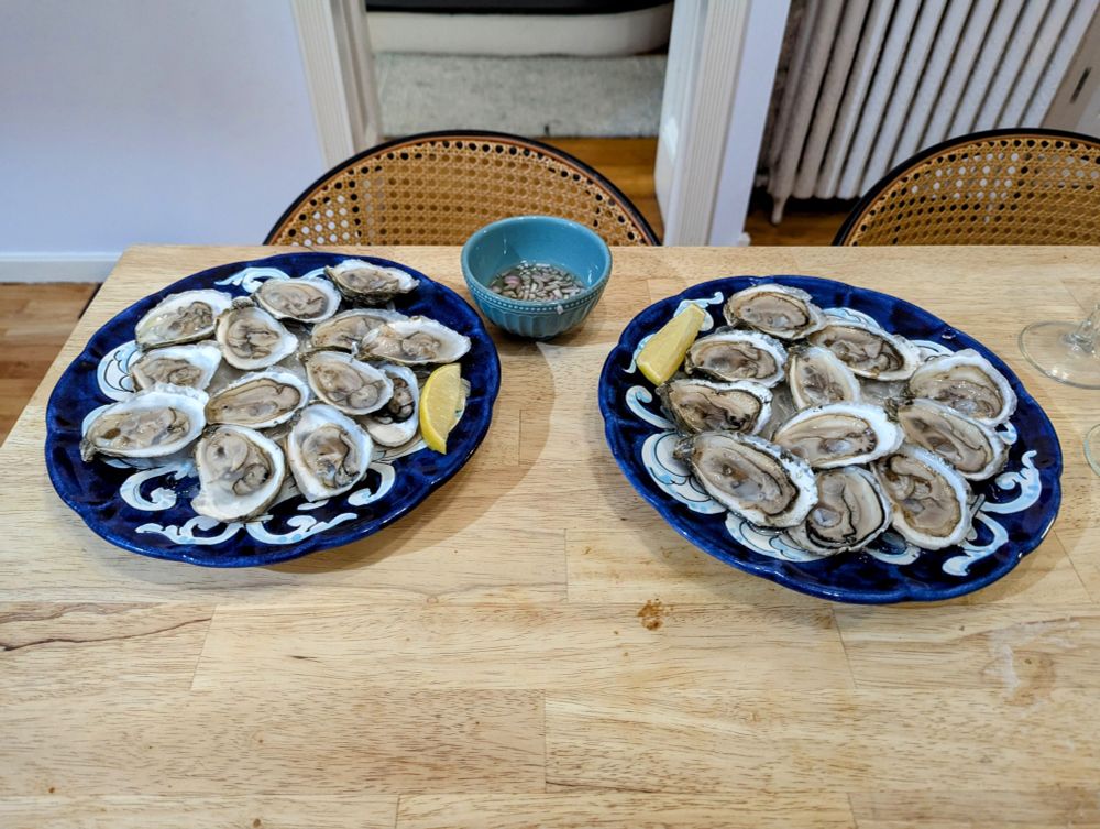 Two plates of blau point oysters with lemon wedges and a mignonette sauce.