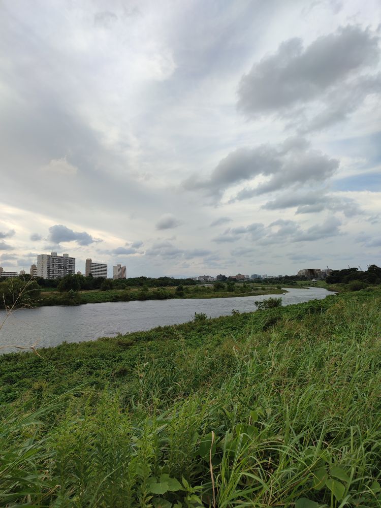 多摩川、曇り空