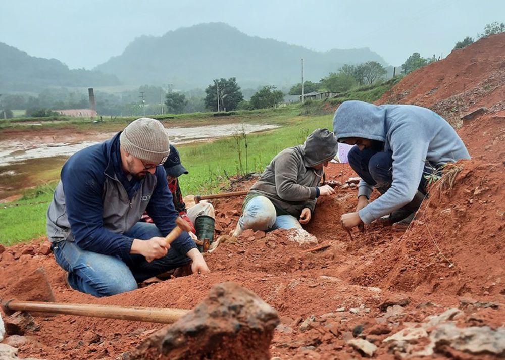 The race to save fossils exposed by Brazil’s record-setting floods