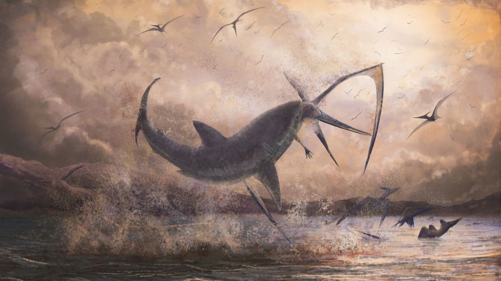 Fearsome Sharks of Today Evolved When Ancient Oceans Got Hot