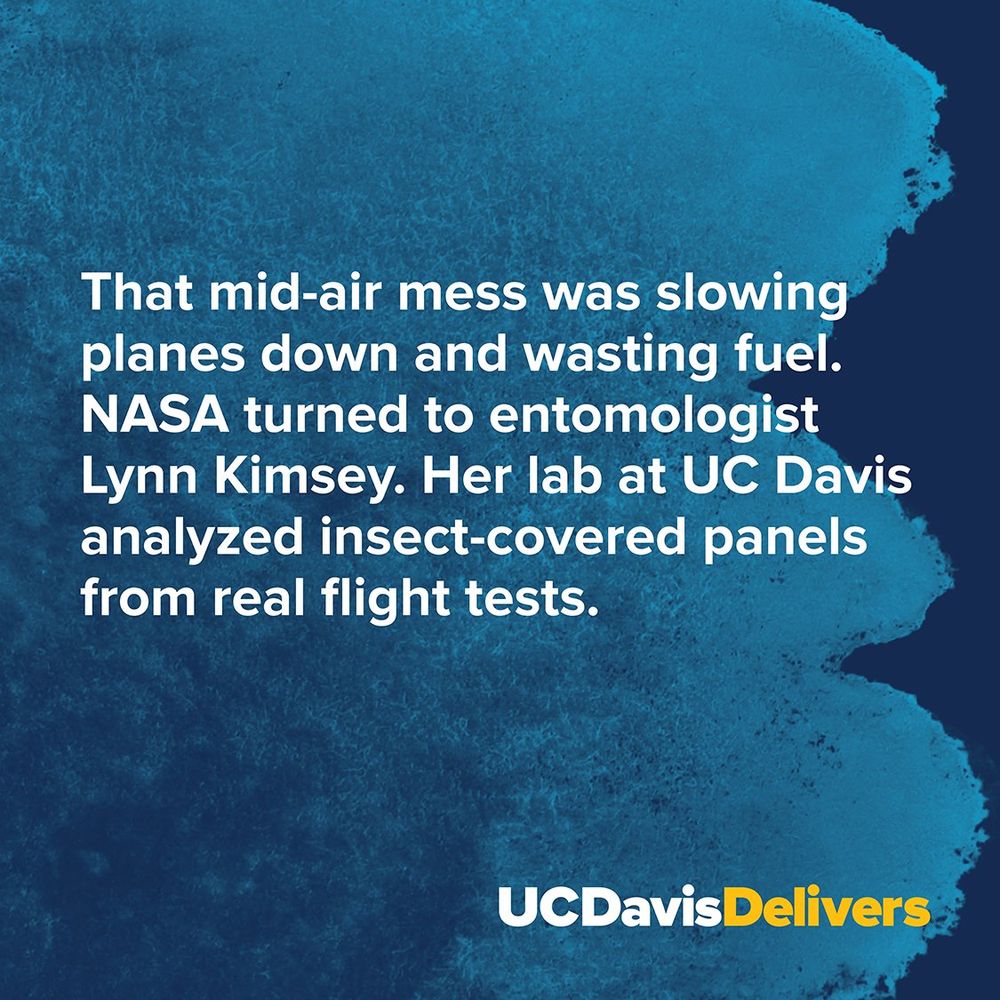 Text on a blue textured background reads "That mid-air mess was slowing planes down and wasting fuel. NASA turned to entomologist Lynn Kimsey. Her lab at UC Davis analyzed insect-covered panels from real flight tests." The logo "UCDavisDelivers" is shown at the bottom.