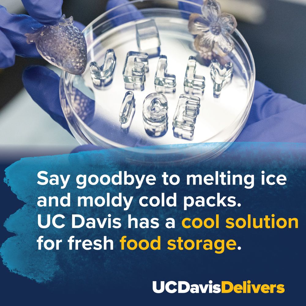 Slide saying: Say goodbye to melting ice and moldy cold packs! UC Davis has a cool solution for fresh food storage.