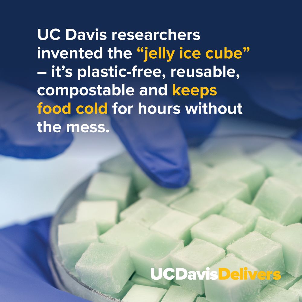 Slide saying: UC Davis researchers invented the “jelly ice cube” – it’s plastic-free, reusable, compostable and keeps food cold for hours without the mess.