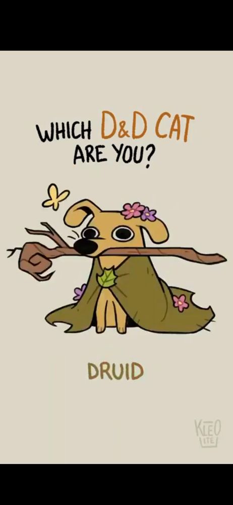 From the which D&D cat are you video I got the druid cat. Looks more like a dog to me but happy either way.