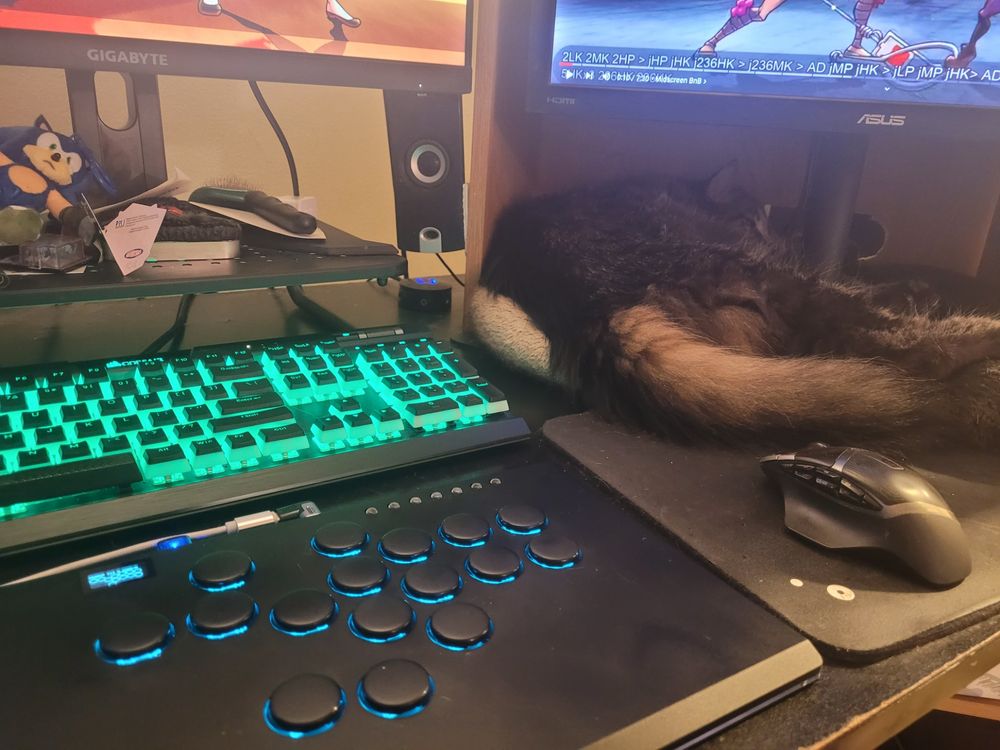 The player's perspective of a leverless fighting game controller with Skullgirls on the monitors, and the cat Nefarian lounging comfortably in a cat bed beneath the monitor.  His tail is exceptionally fuzzy.
