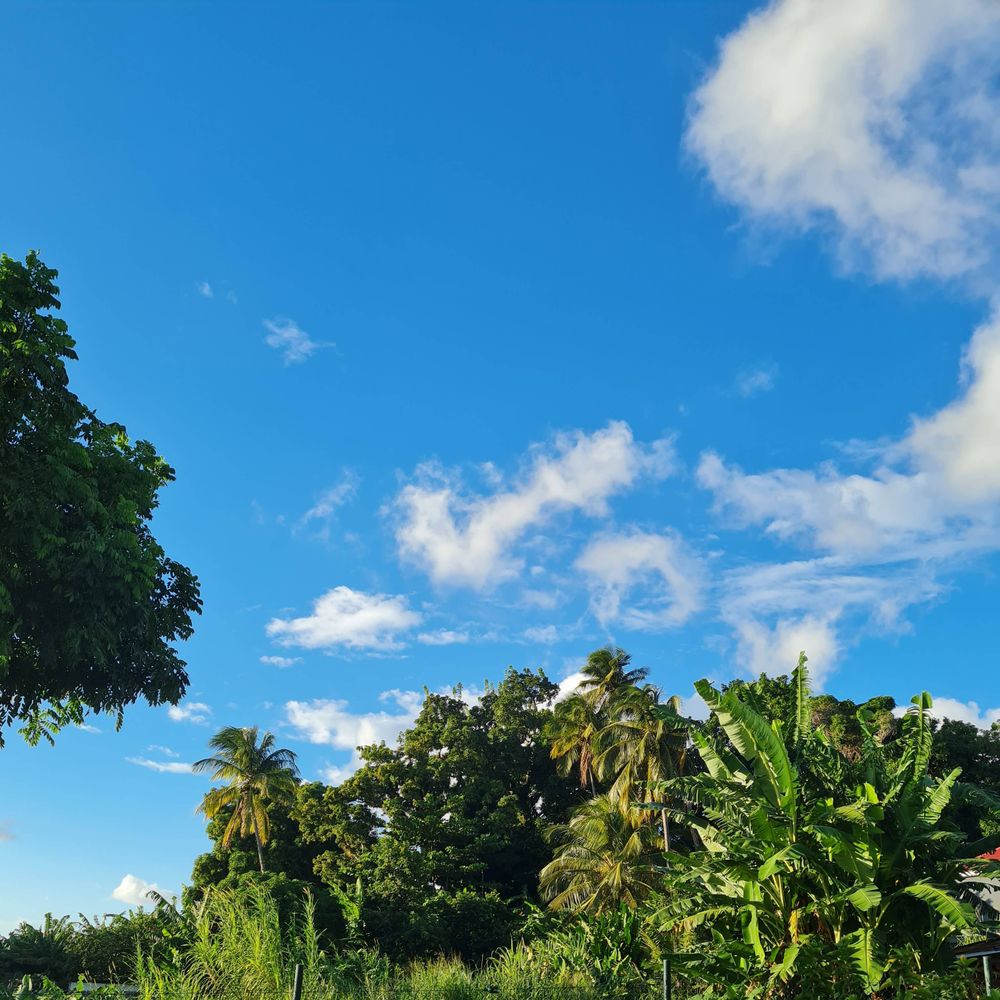 Guadeloupe ciel bleu de fin 
d'après midi