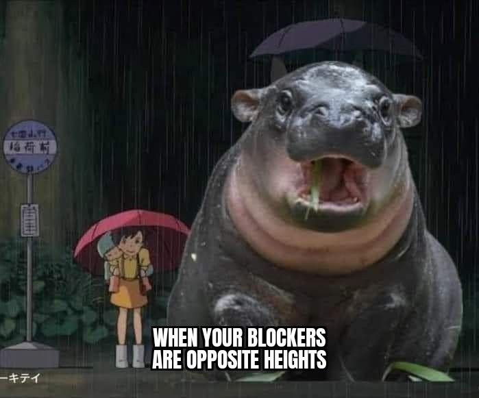 A meme from a still of my Neighbor Totoro where a young girl and her younger sister wait in the rain for the bus. Totoro is replaced with Moo Deng. Text says "When your blockers are opposite heights". Funny because Moo Deng is 3x as tall as the girl. 