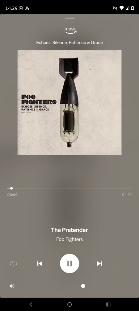 Cover vom Album Echos, Silence, Patience & Grave der Foo Fighters.