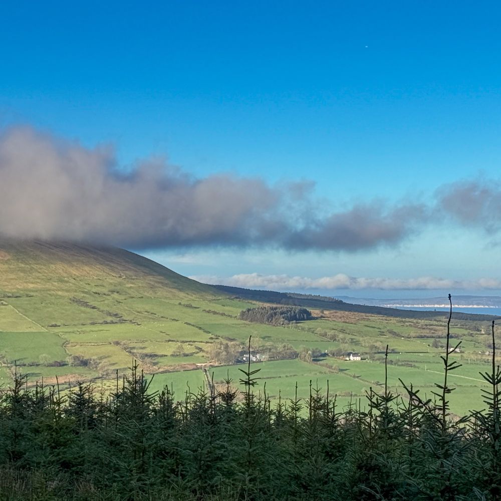 View from above Breen Oak Wood
