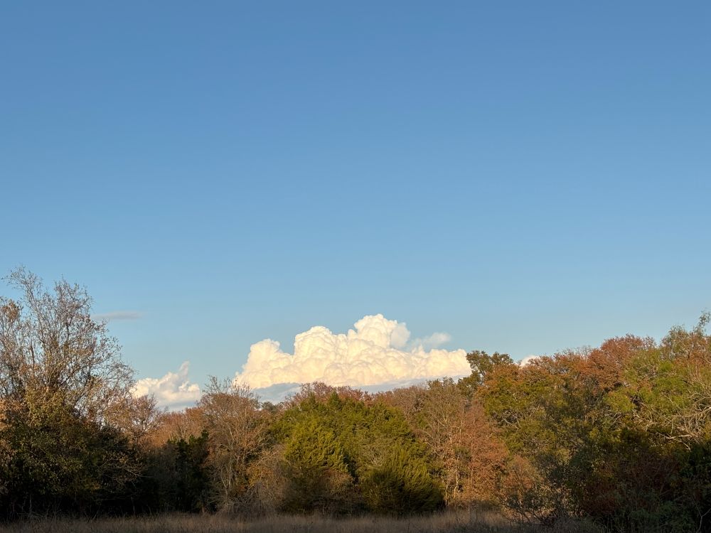 White, billowy clouds against a blue sky, touching a horizon of deciduous trees; their leaves beginning to turn the colors of Autumn.