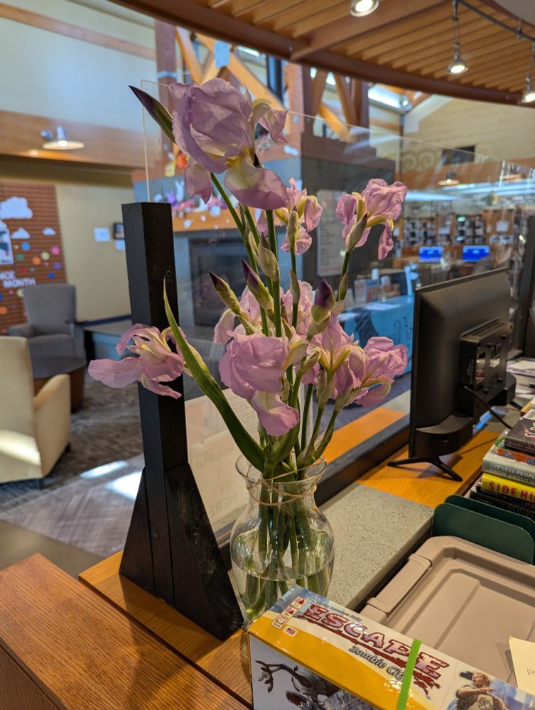 Lavender irises in a glass vase on the library reception counter. 