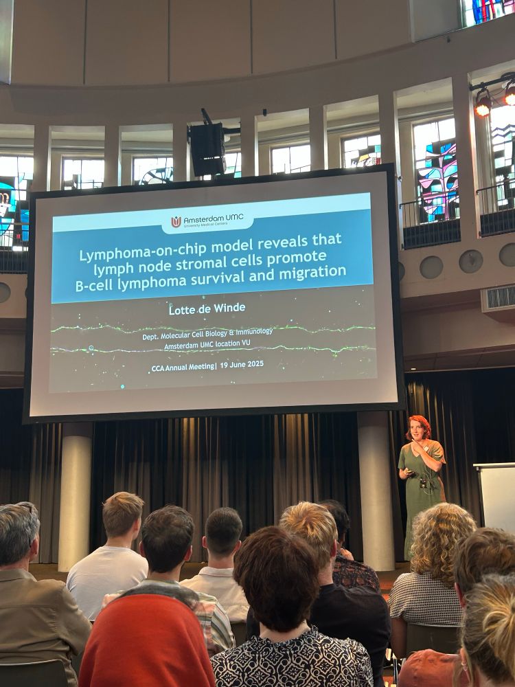 Lotte de Winde standing in front of her title slide « Lymphoma on a chip model reveals that lymph node stromal cells promote B cell lymphoma survival and migration »
