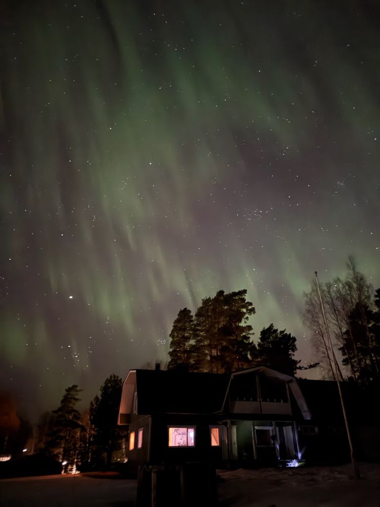 Northern lights scattered across the sky above a wooden house and trees.