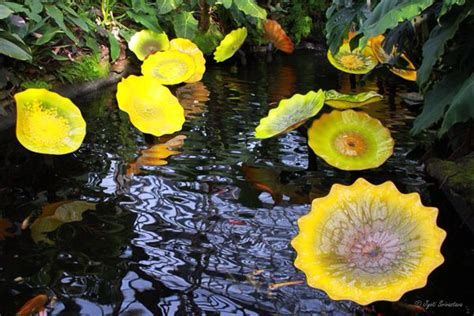 Photo of Dale Chihuly’s 16 yellow lily pads permanently displayed in the 