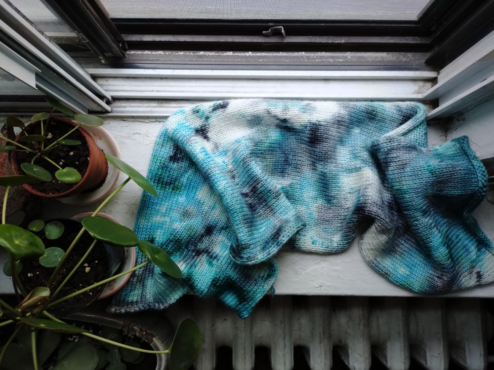 Top down photo of potted plants and knitted fabric with teal and gray splotches