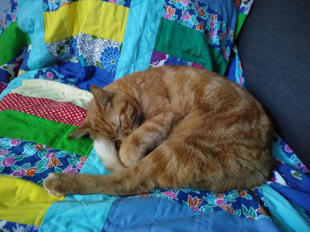 Orange tabby cat curled up on a colourful quilt