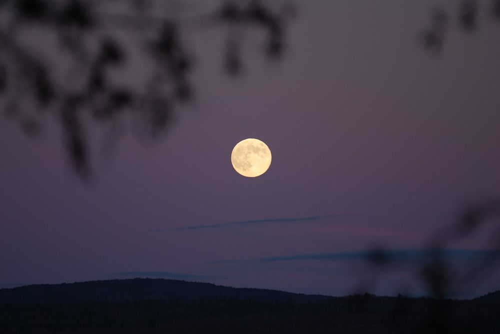 This is a picture of the full moon rising over mountains in the distance, with blurry tree branches in the foreground framing it. A few clouds are stretched out in lines below and to the right of the moon. The sky is purple.