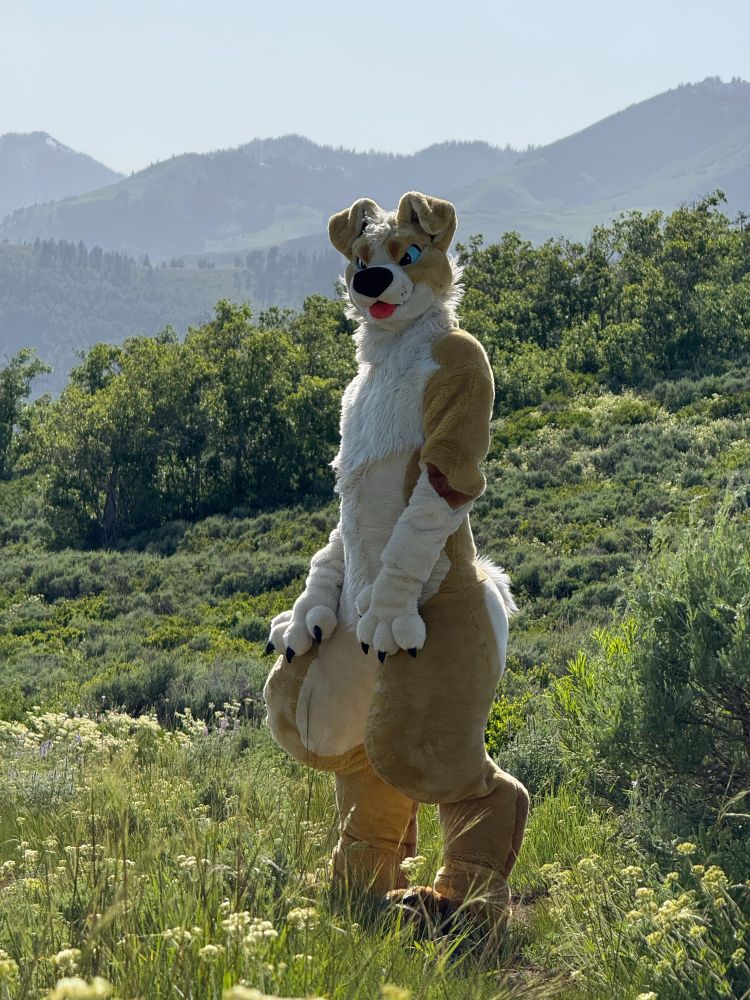 A golden and white dog fursuiter stands in a mountain clearing near Salt Lake City, Utah.